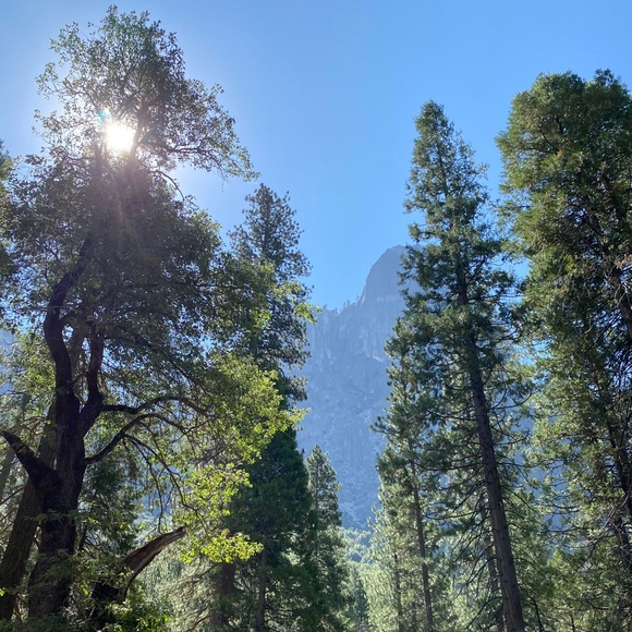 Meet your Posher, Ruth - Picture 1 of 1